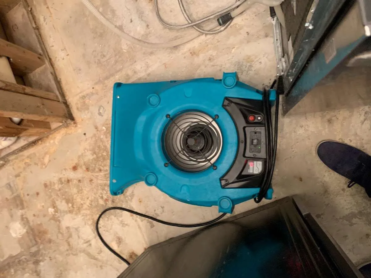 Air mover drying equipment for Mold Remediation & Removal in Allen